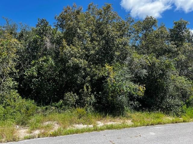 For Sale: $50,000 (0.29 acres)