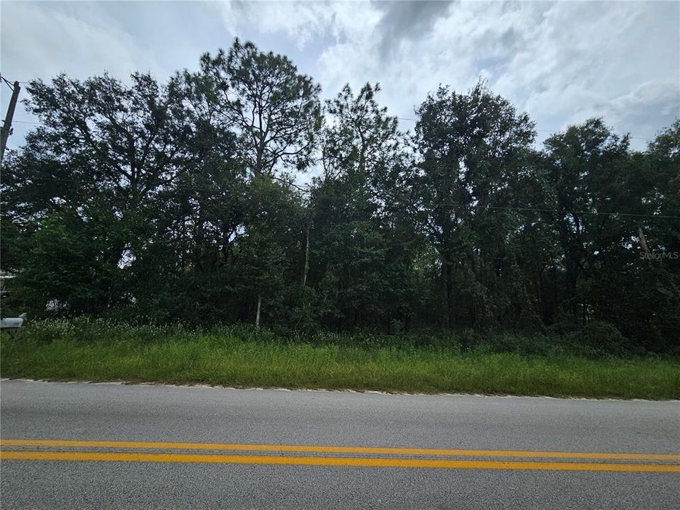 For Sale: $45,000 (1.28 acres)