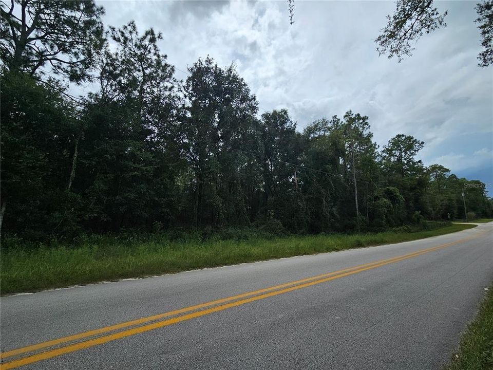 For Sale: $45,000 (1.28 acres)