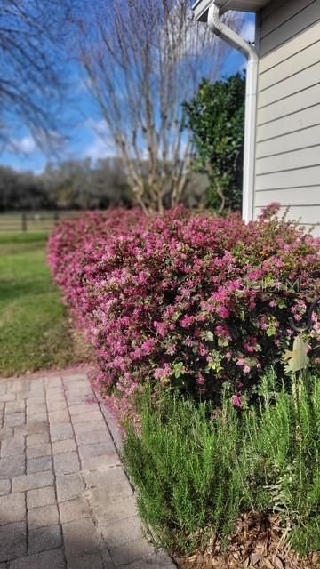 En Venta: $2,599,000 (5 camas, 4 baños, 4871 Pies cuadrados)