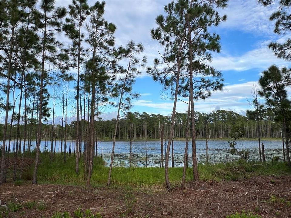 En Venta: $495,000 (4 camas, 3 baños, 1818 Pies cuadrados)