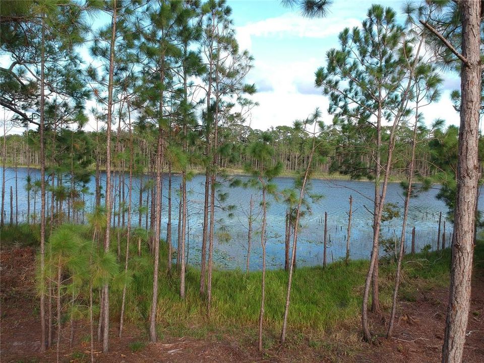 En Venta: $495,000 (4 camas, 3 baños, 1818 Pies cuadrados)