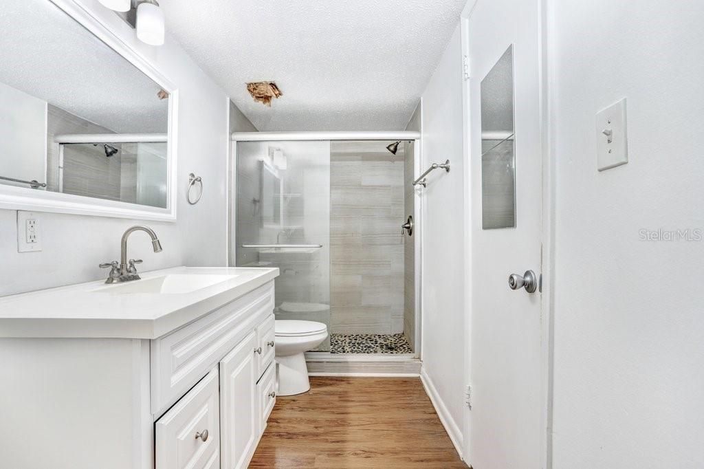 出租: $1,650 (1 贝兹, 1 浴室, 650 平方英尺)