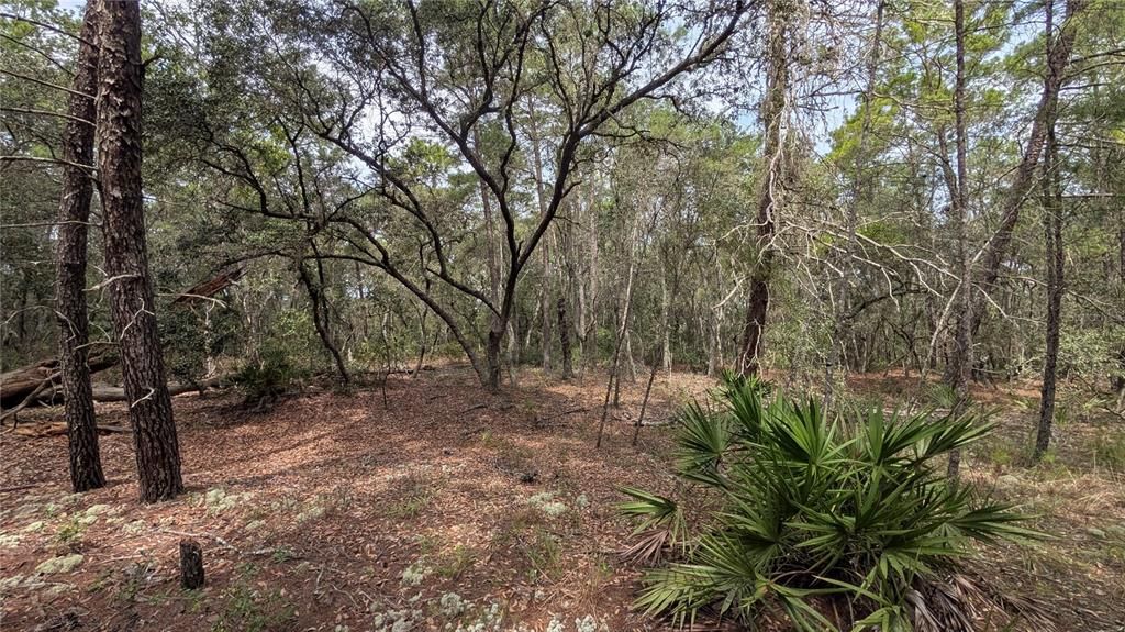 For Sale: $8,400 (0.46 acres)