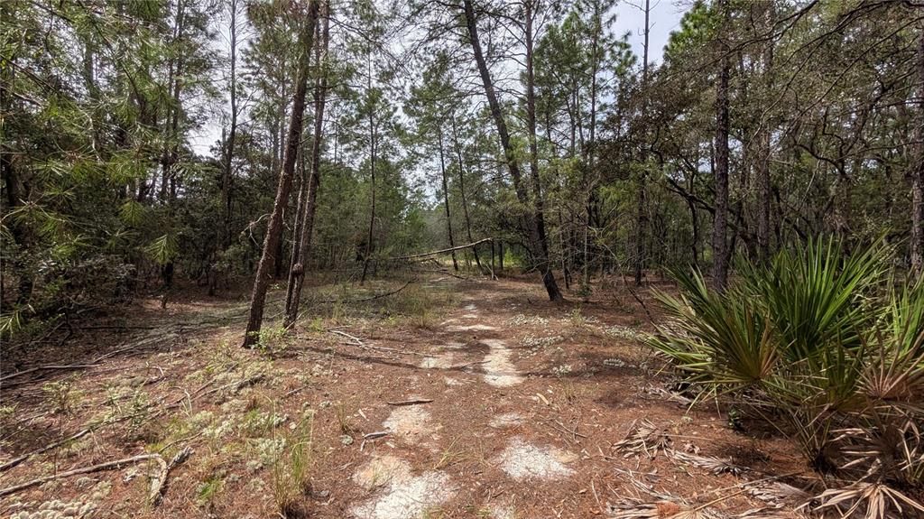 For Sale: $8,400 (0.46 acres)