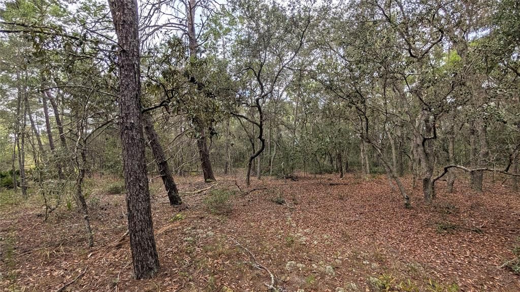 For Sale: $8,400 (0.46 acres)