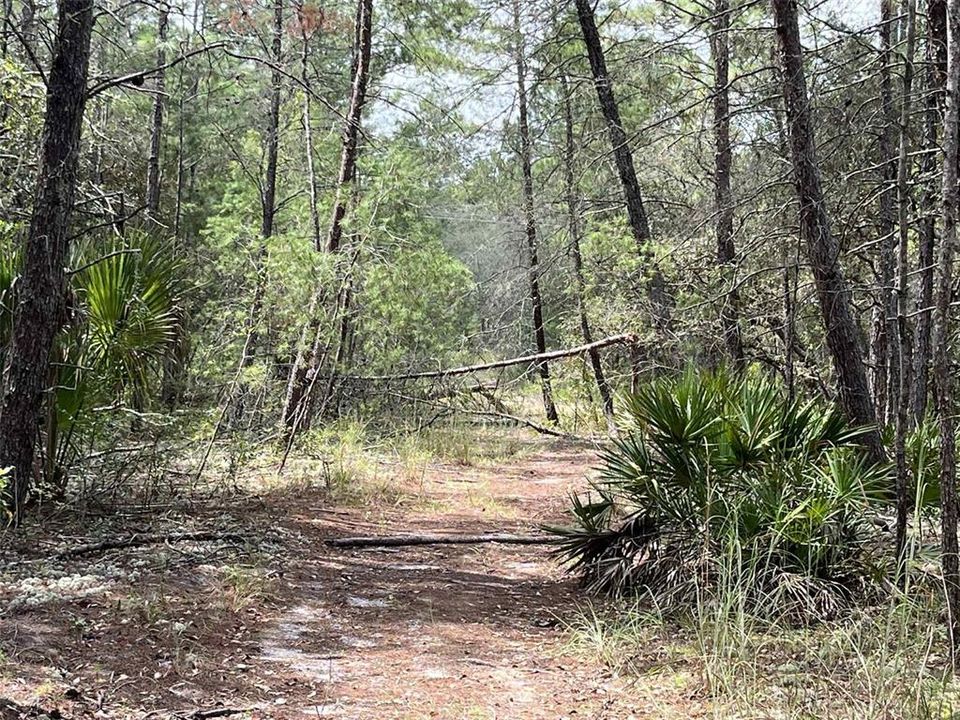 For Sale: $8,400 (0.46 acres)