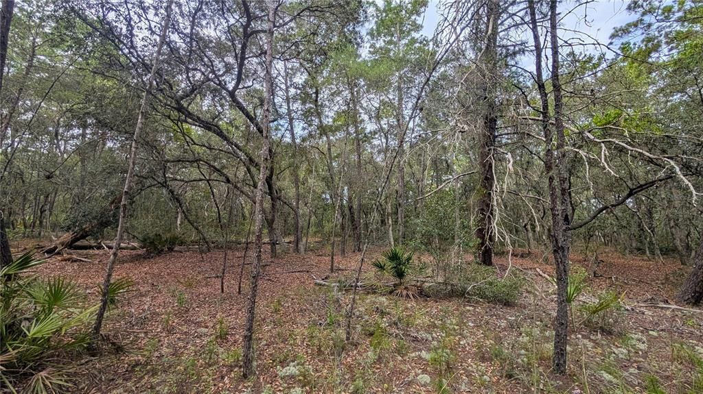 For Sale: $8,400 (0.46 acres)