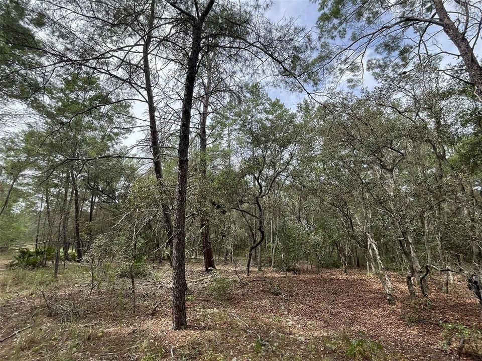 For Sale: $8,400 (0.46 acres)