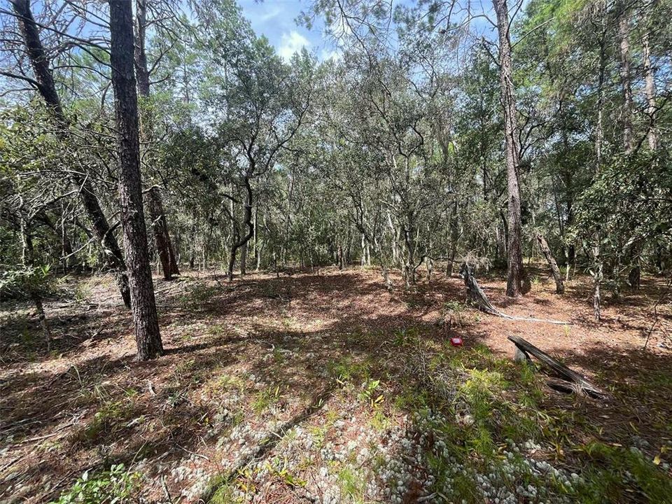 For Sale: $8,400 (0.46 acres)