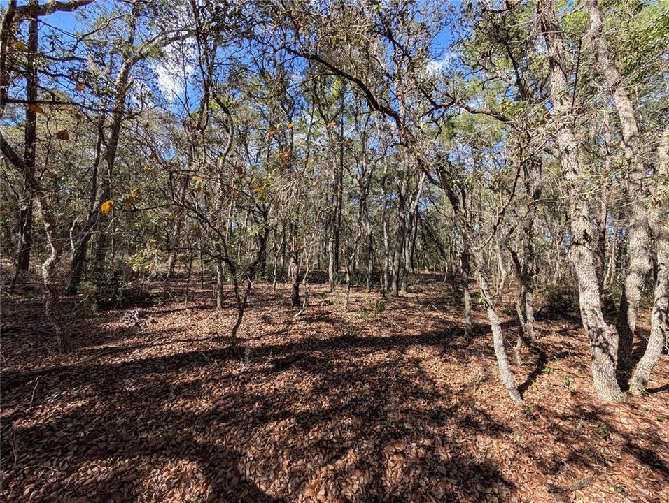 For Sale: $8,400 (0.46 acres)