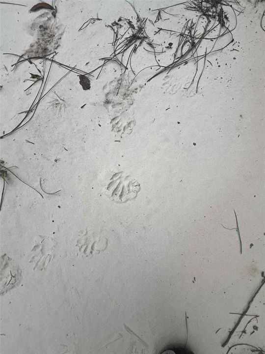 For Sale: $8,400 (0.46 acres)