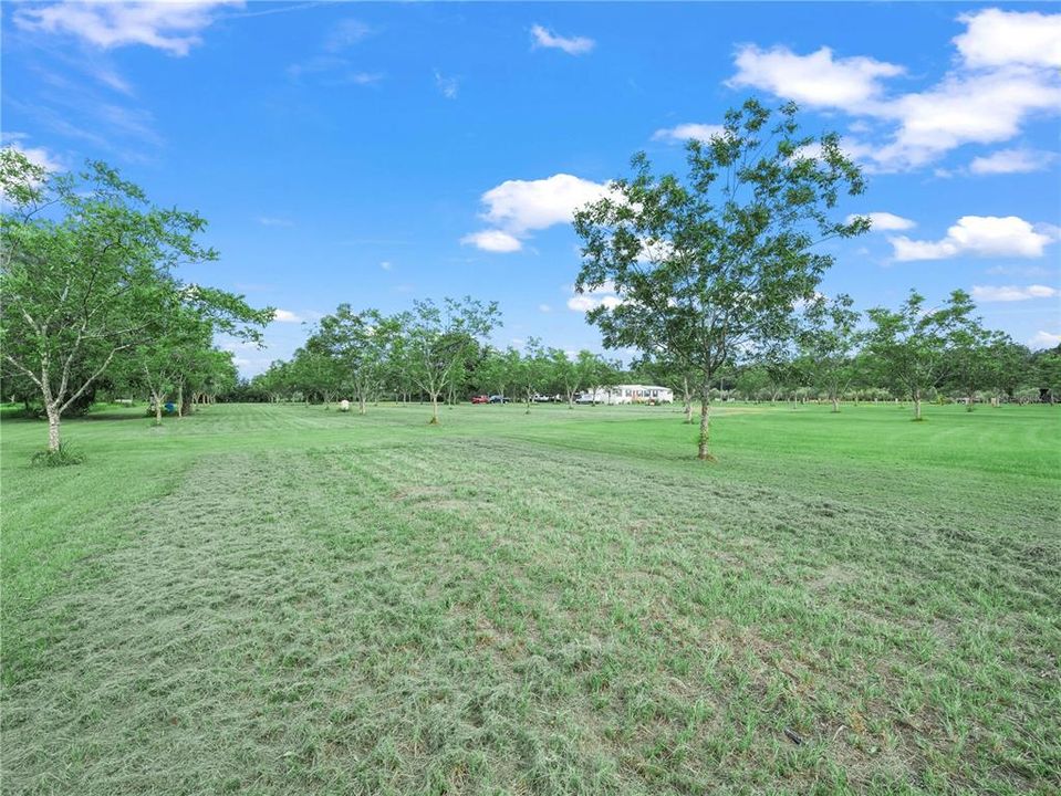 For Sale: $337,000 (3 beds, 2 baths, 1512 Square Feet)