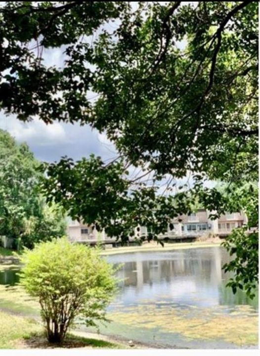 En Renta: $1,250 (1 camas, 1 baños, 543 Pies cuadrados)