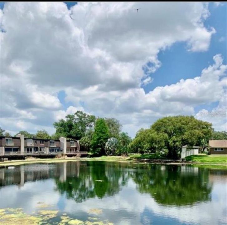 En Renta: $1,250 (1 camas, 1 baños, 543 Pies cuadrados)