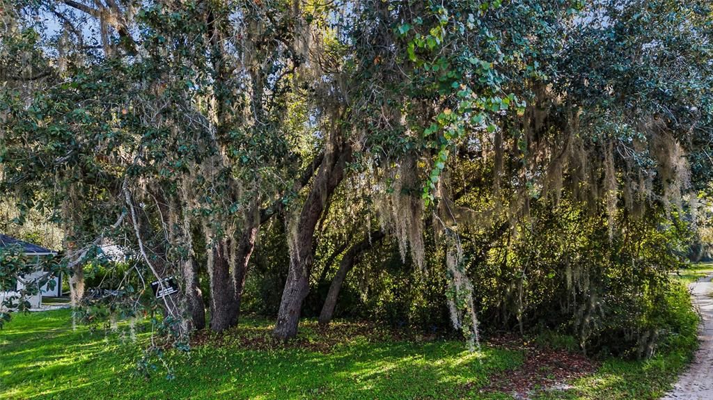 For Sale: $30,000 (0.20 acres)