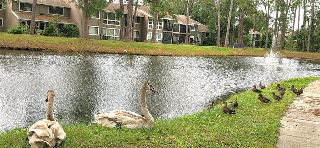 En Venta: $151,999 (2 camas, 1 baños, 999 Pies cuadrados)