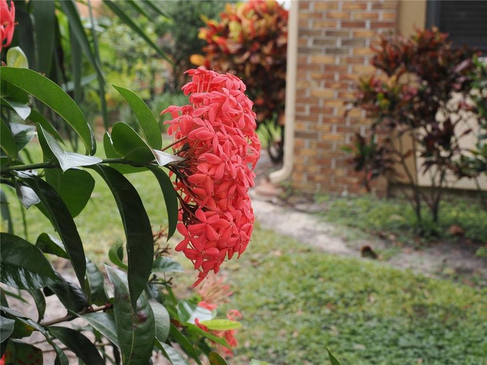 En Venta: $725,000 (3 camas, 2 baños, 2061 Pies cuadrados)