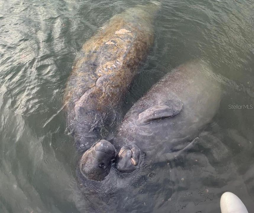 待售: $885,000 (4 贝兹, 2 浴室, 3014 平方英尺)