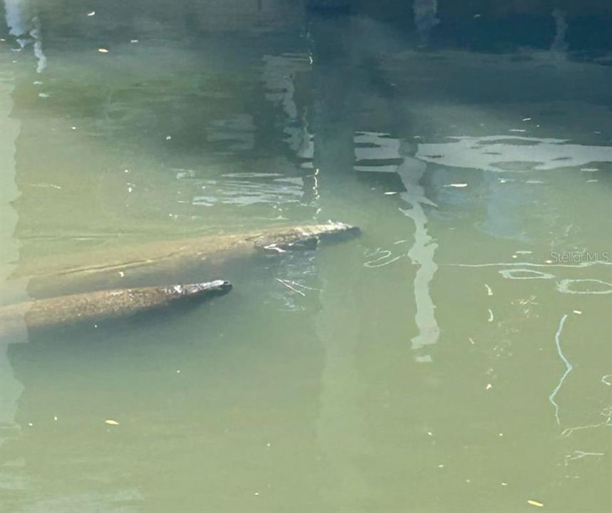 待售: $885,000 (4 贝兹, 2 浴室, 3014 平方英尺)