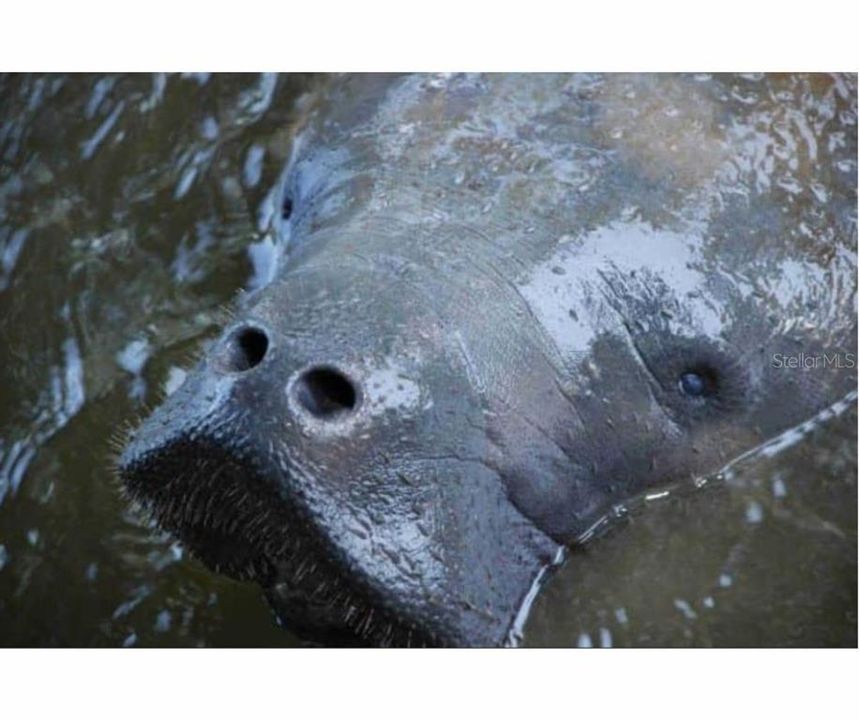 待售: $885,000 (4 贝兹, 2 浴室, 3014 平方英尺)