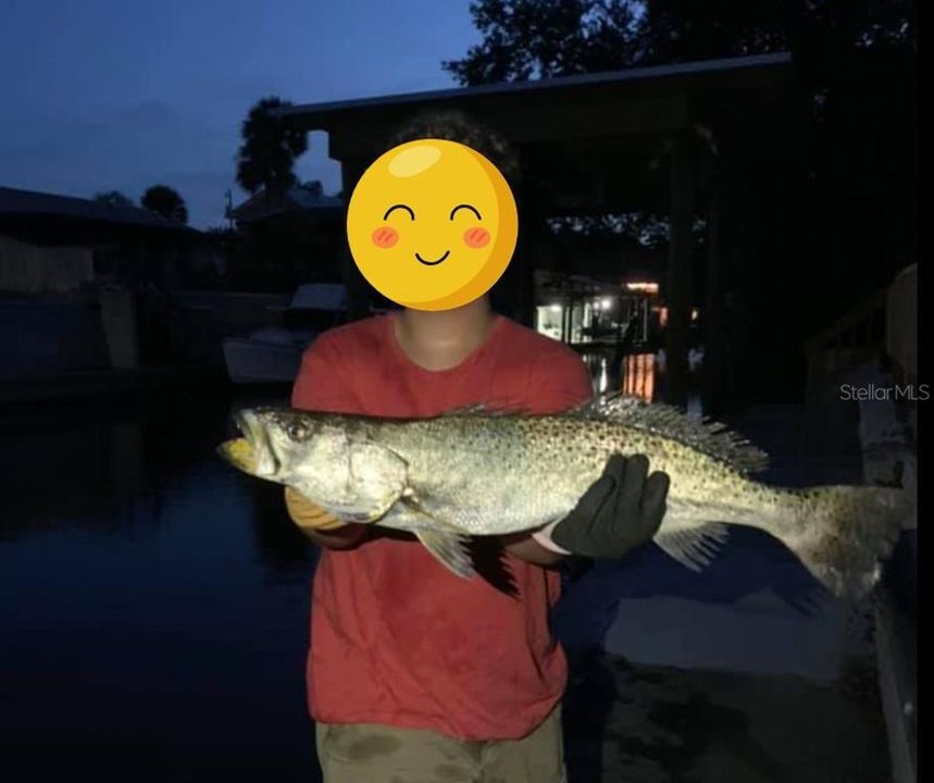 待售: $885,000 (4 贝兹, 2 浴室, 3014 平方英尺)