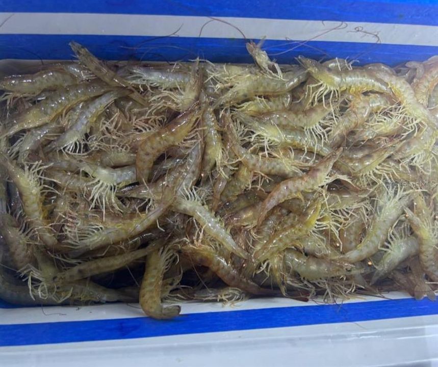 待售: $885,000 (4 贝兹, 2 浴室, 3014 平方英尺)