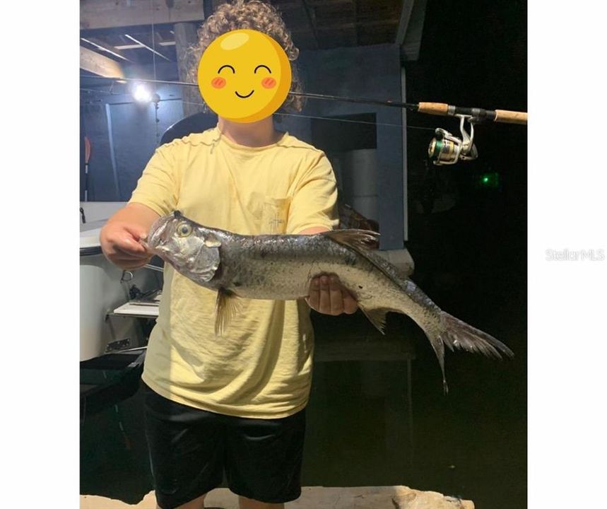 待售: $885,000 (4 贝兹, 2 浴室, 3014 平方英尺)