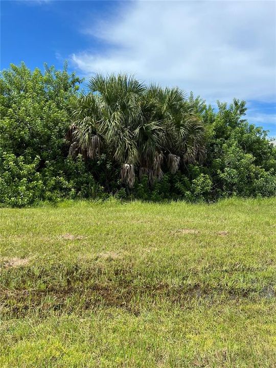 На продажу: $60,000 (0.19 acres)