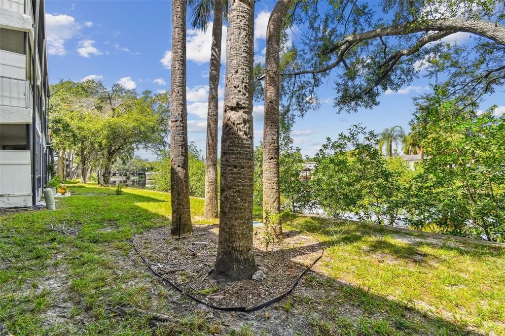 For Sale: $130,000 (1 beds, 1 baths, 760 Square Feet)