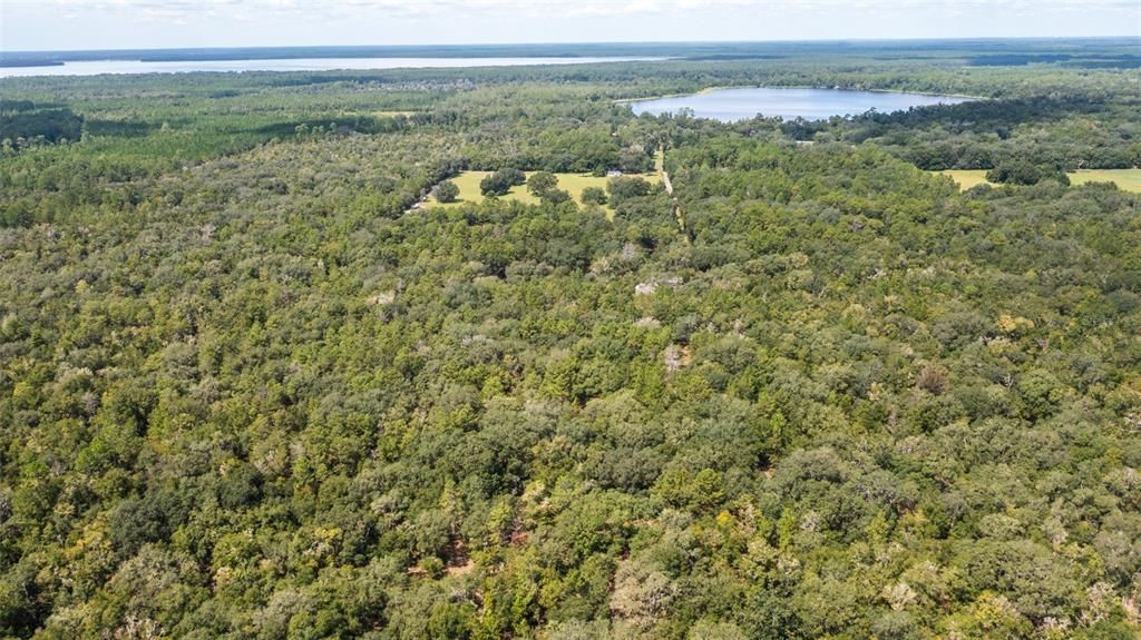 For Sale: $375,000 (20.00 acres)