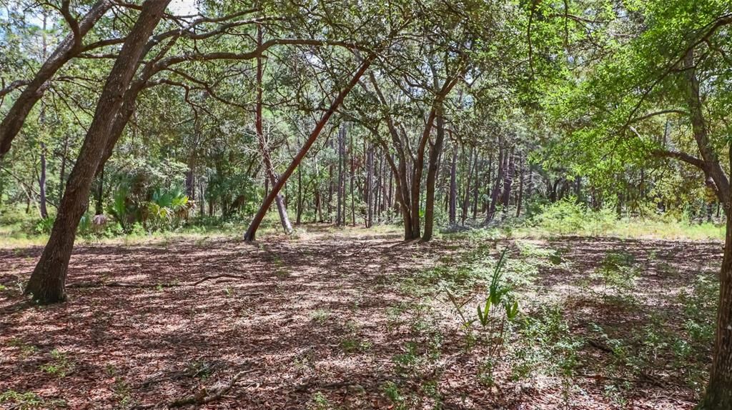 For Sale: $375,000 (20.00 acres)