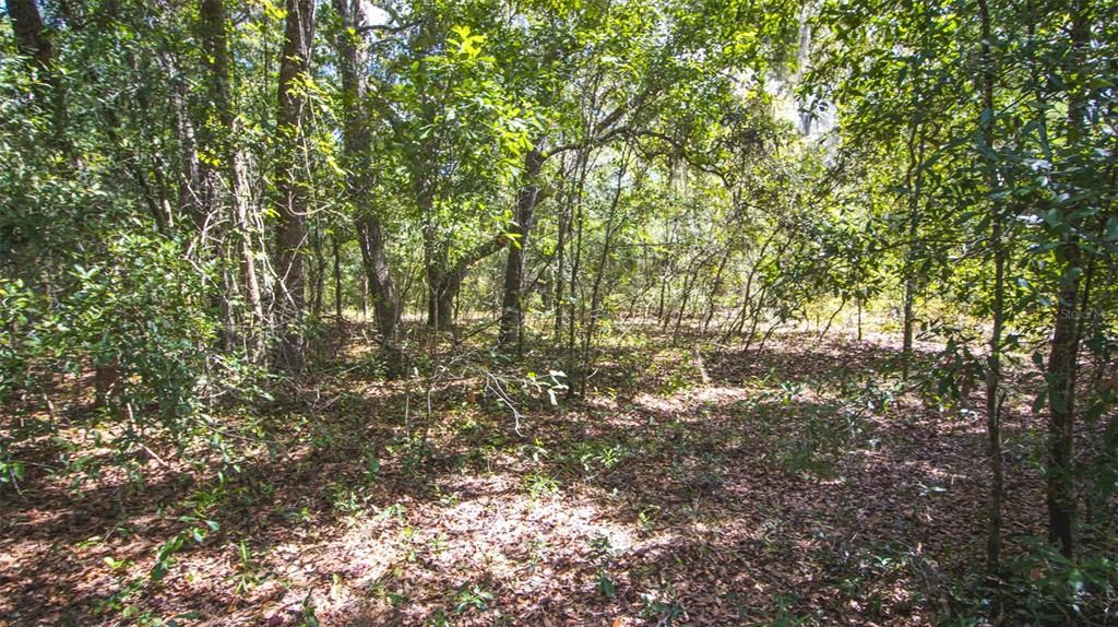 For Sale: $375,000 (20.00 acres)