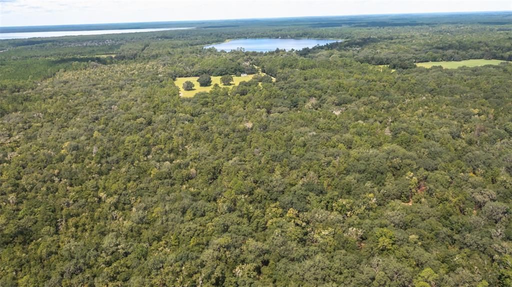 For Sale: $375,000 (20.00 acres)