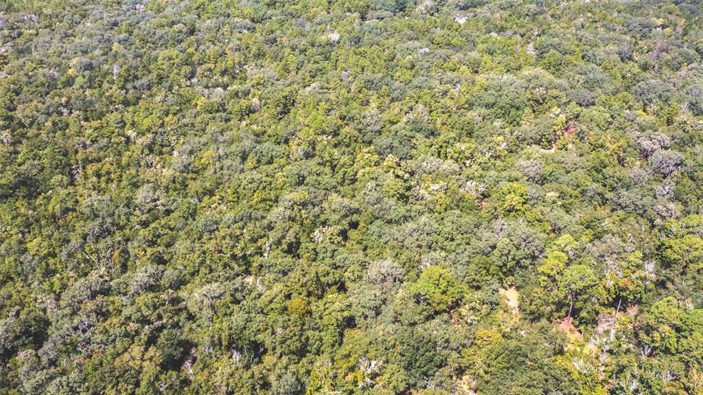 For Sale: $375,000 (20.00 acres)