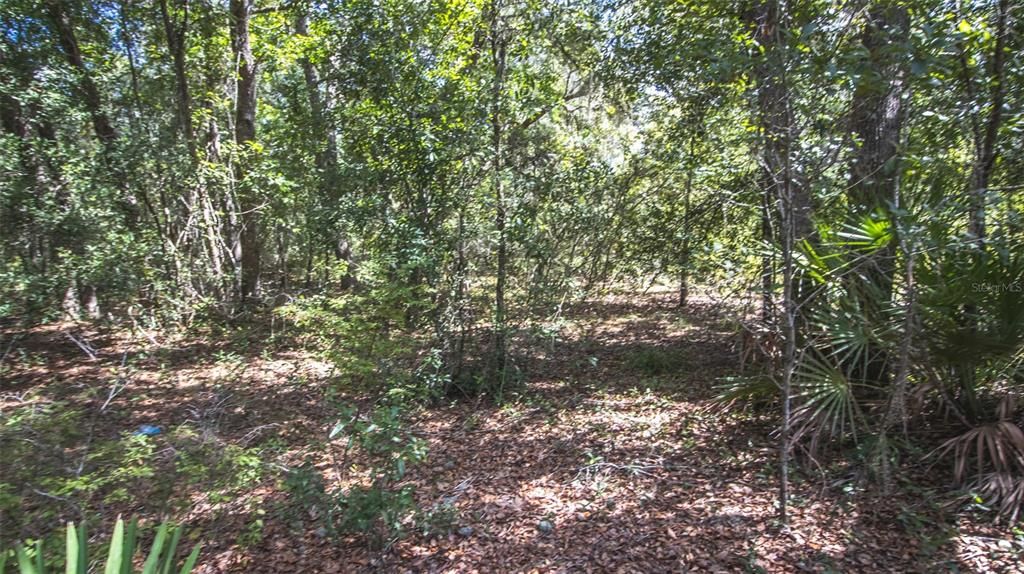 For Sale: $375,000 (20.00 acres)