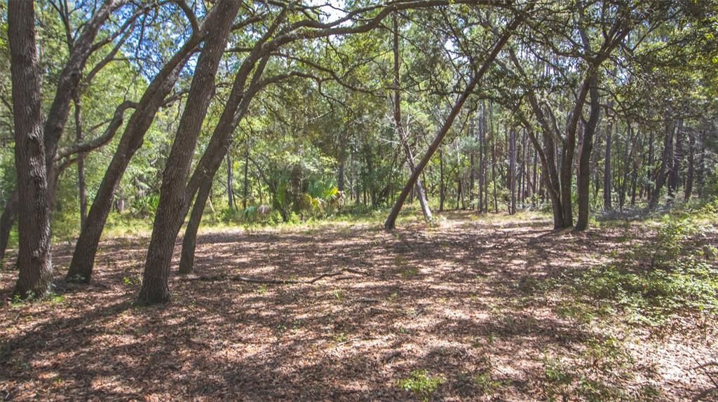 For Sale: $375,000 (20.00 acres)