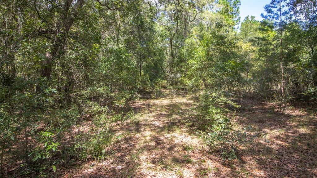 For Sale: $375,000 (20.00 acres)