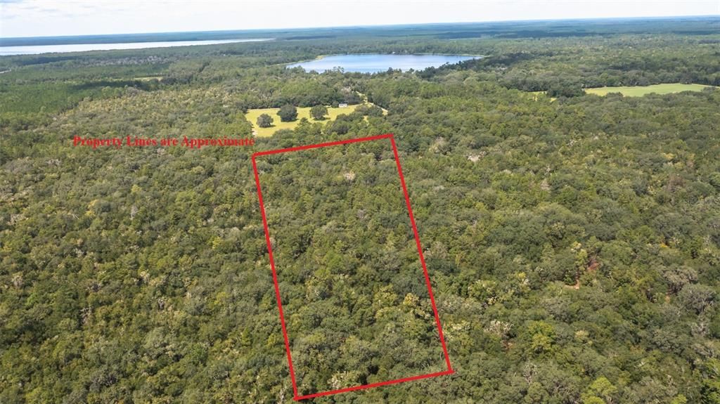 For Sale: $375,000 (20.00 acres)