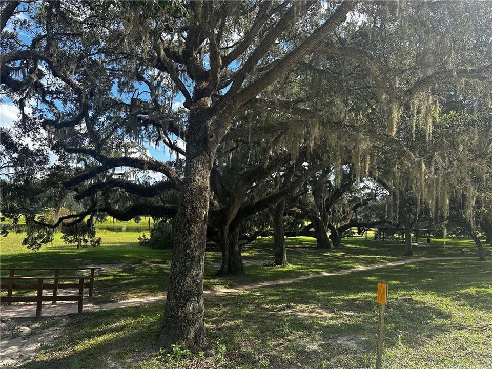 En Venta: $23,750 (0.22 acres)