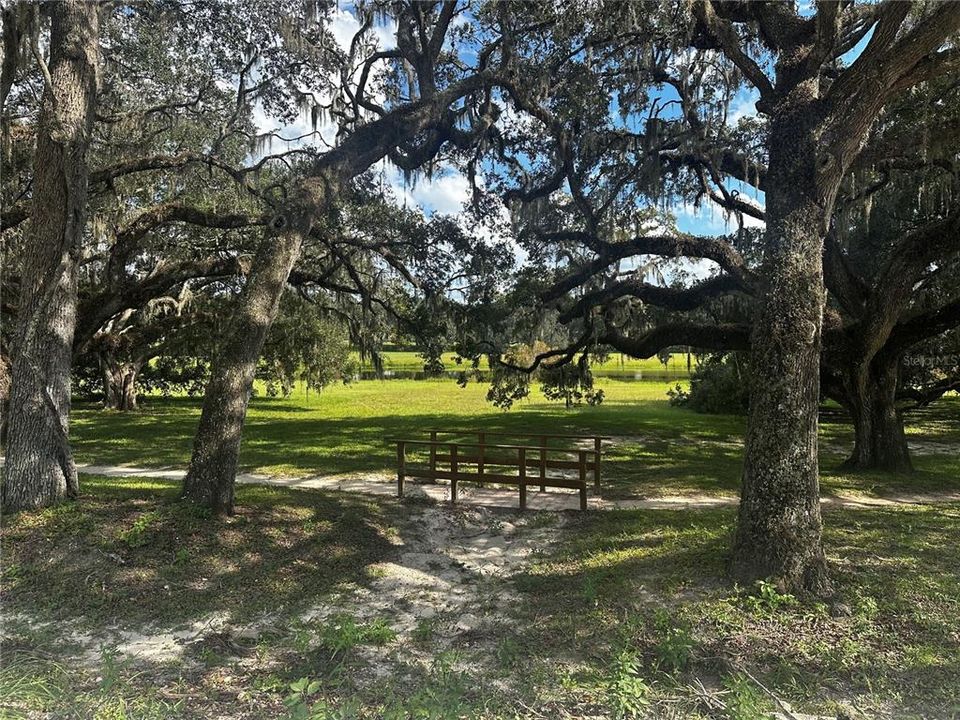 En Venta: $23,750 (0.22 acres)