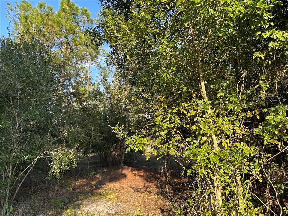 待售: $38,900 (1.34 acres)