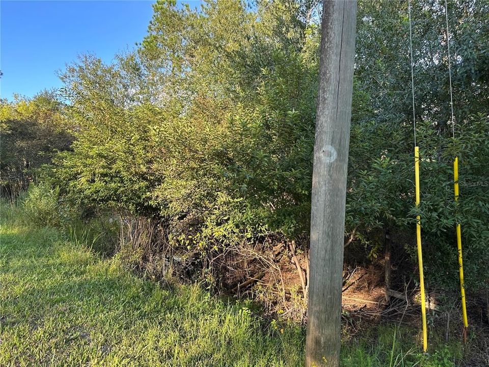 待售: $38,900 (1.34 acres)