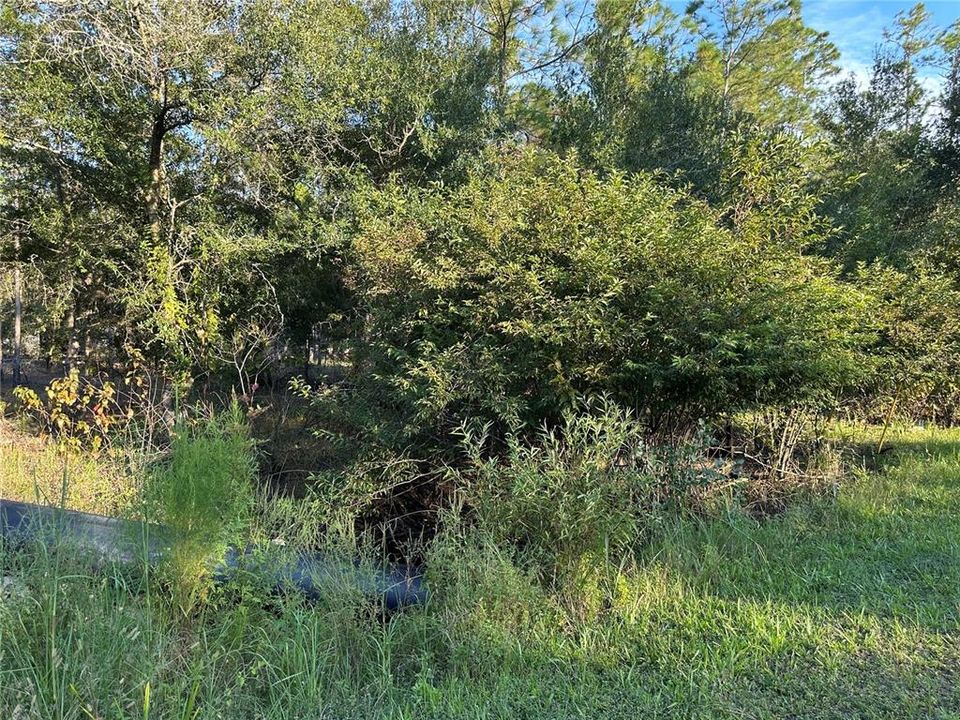 待售: $38,900 (1.34 acres)