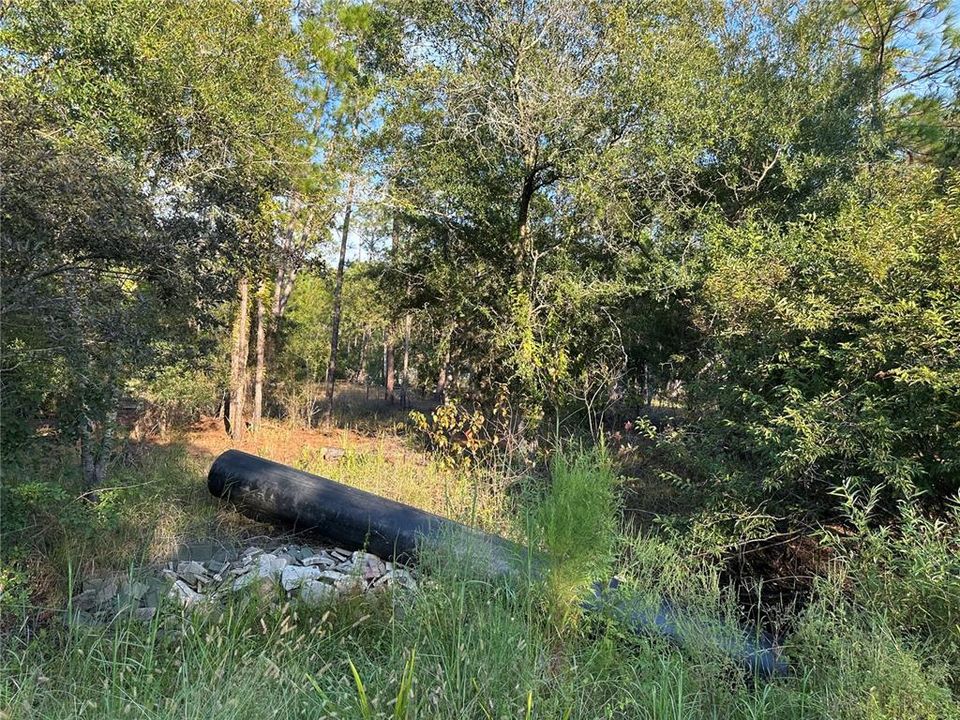 待售: $38,900 (1.34 acres)