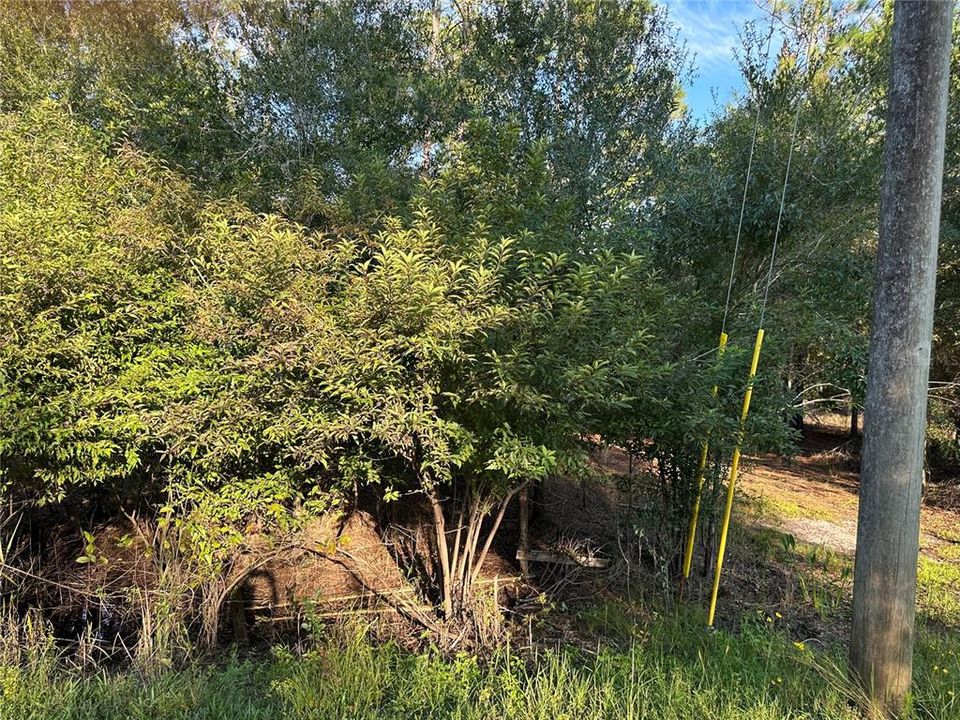 待售: $38,900 (1.34 acres)