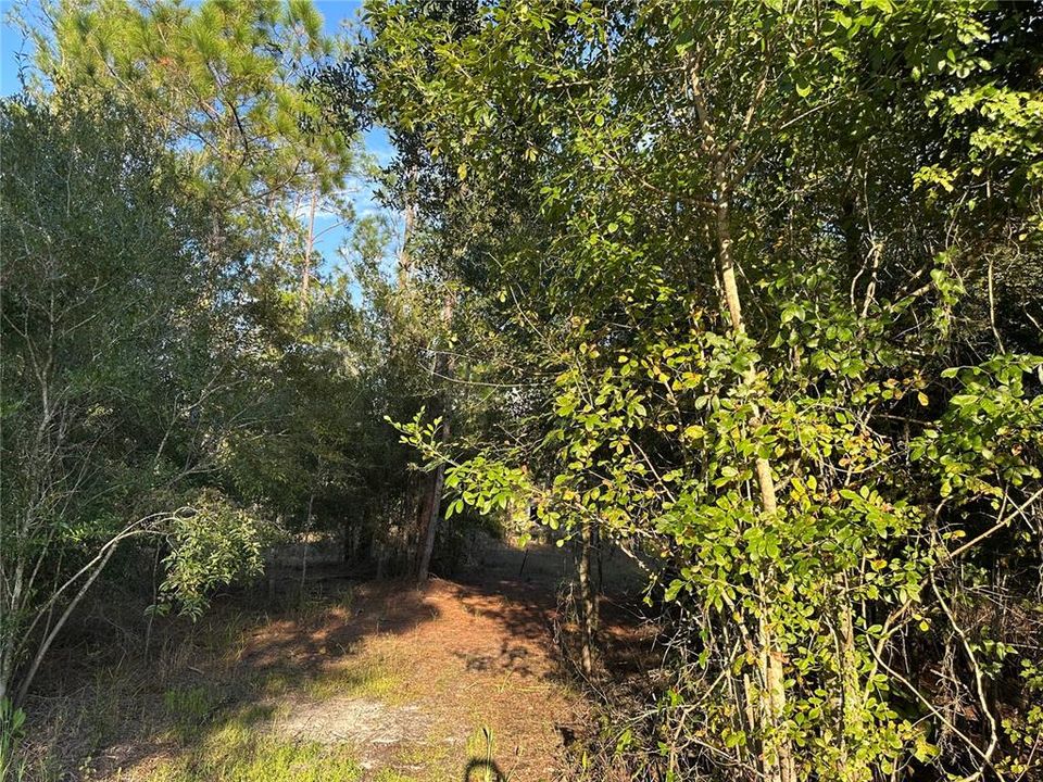 待售: $38,900 (1.34 acres)