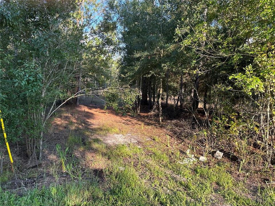 待售: $38,900 (1.34 acres)