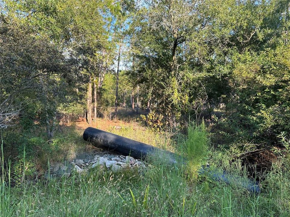 待售: $38,900 (1.34 acres)