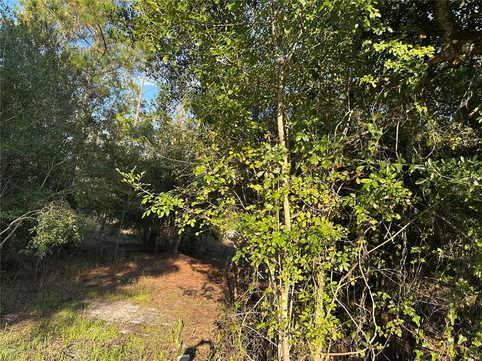 待售: $38,900 (1.34 acres)